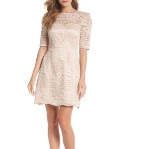 Chelsea28 Pink Lace Dress